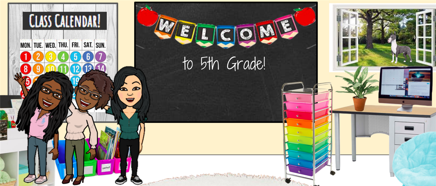 5th grade 